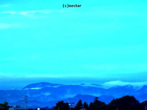 blue[14]
