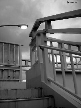 mono[3]