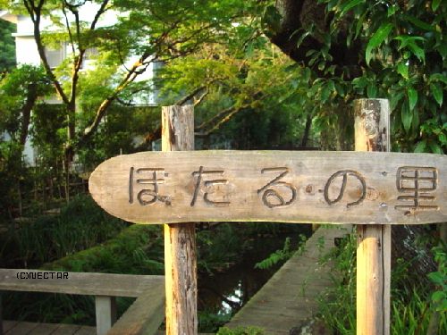 travel 9/22[17]