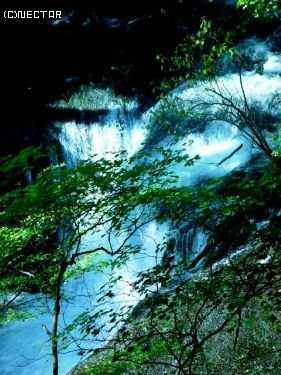 nikko[13]