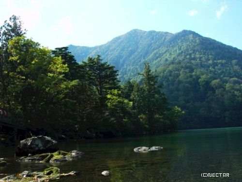 nikko[17]